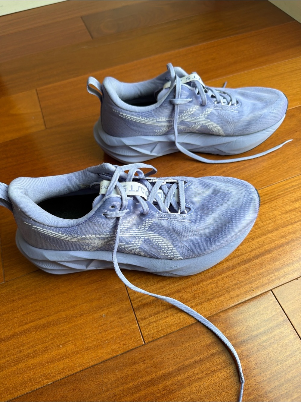ASICS Women's NOVABLAST 5 Running Shoes